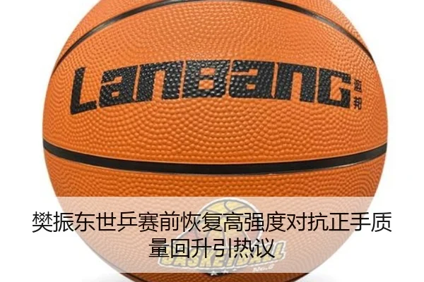 樊振东世乒赛前恢复高强度对抗正手质量回升引热议
